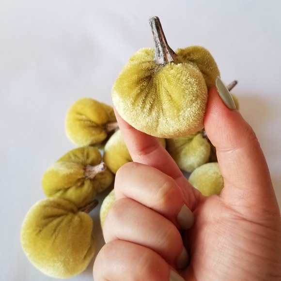 Mini Pumpkins - Picture 3 of 3